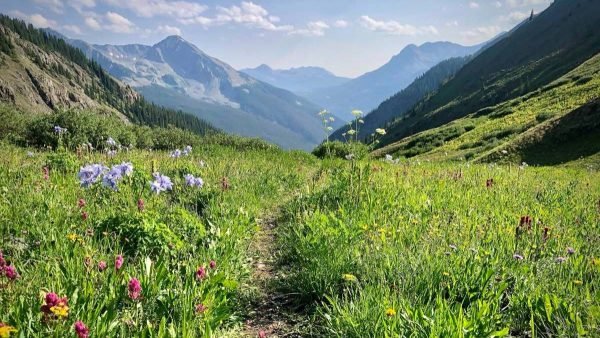 Cultura Ultrarunning: Um Guia Essencial para o Crescimento