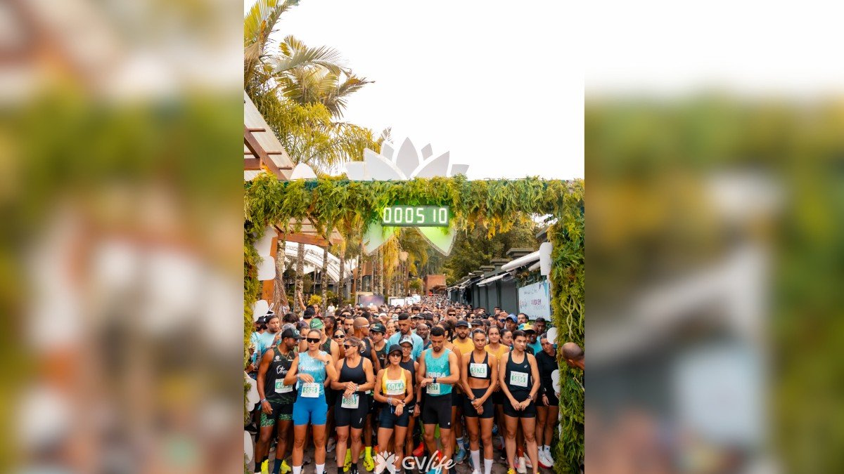 GV Life Run 2026: Os Segredos dos Campeões Revelados!