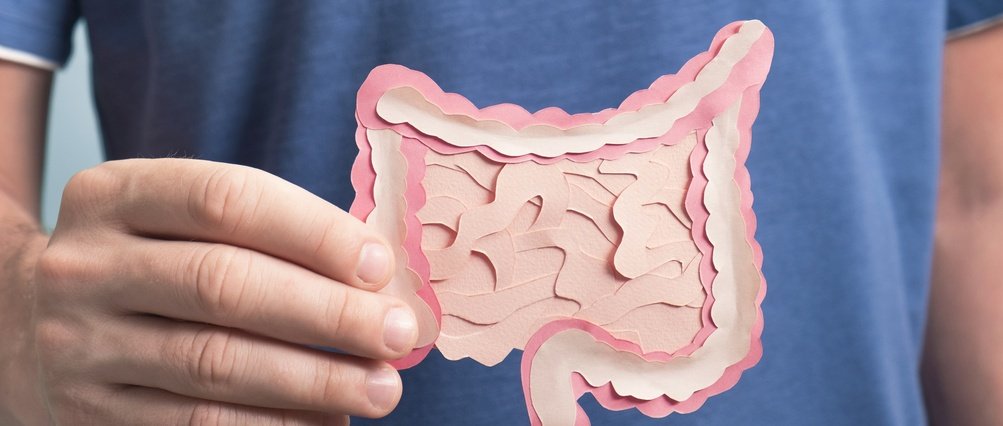 Microbiota Intestinal: Guia Essencial para a Sua Saúde