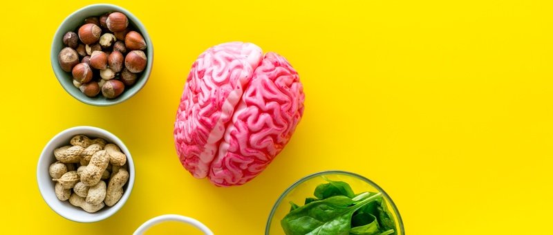 Alimentos para o Cérebro: Guia Definitivo 2025