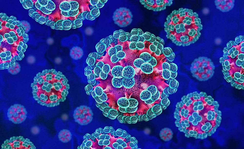 Hantavirose: O que é e como se proteger