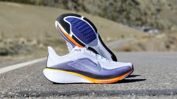 Nike Pegasus 42: O Guia Definitivo para Corredores