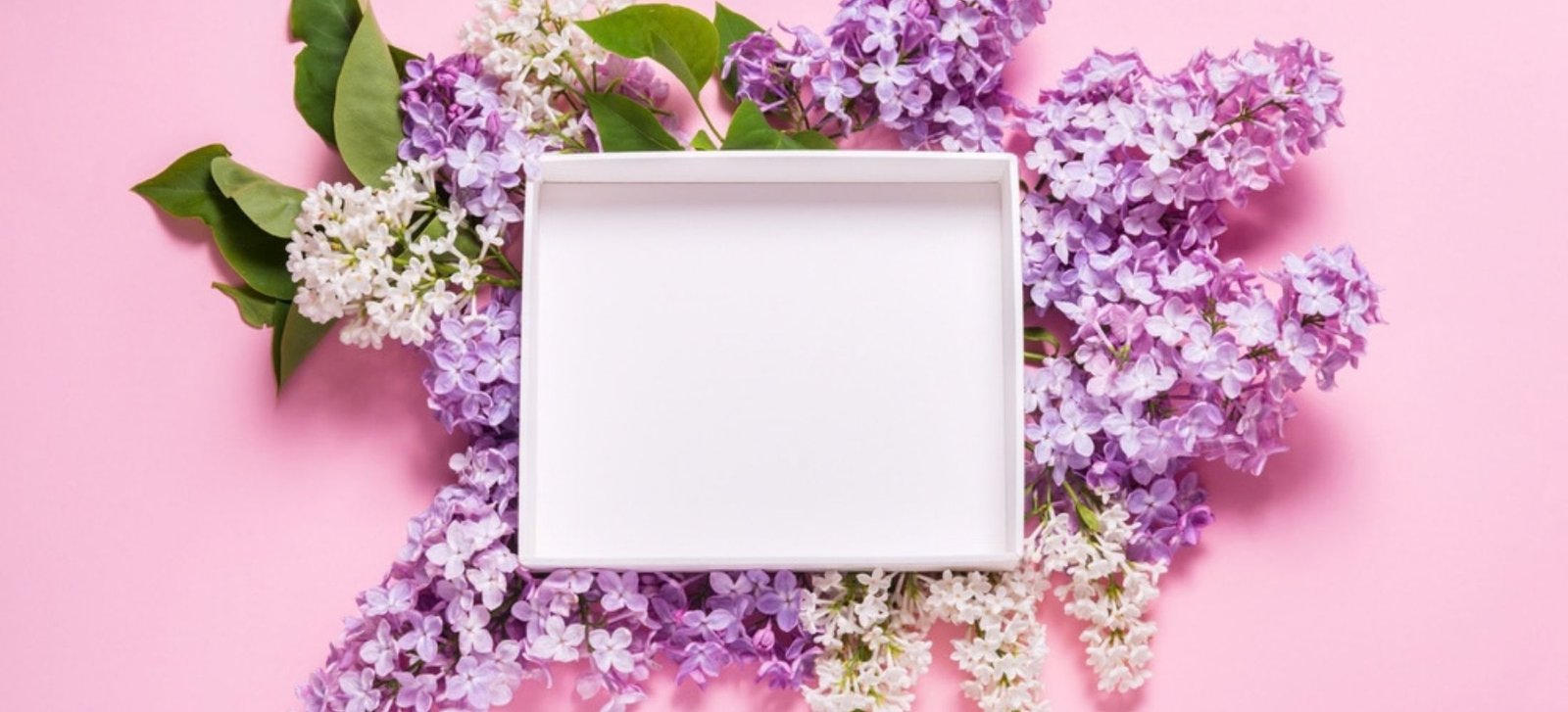 Box Breathing: Guia Completo Para Aliviar o Estresse