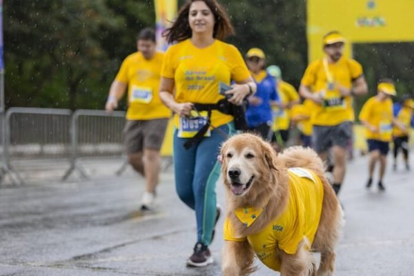 Corrida com Cachorro: Guia Essencial para Companheiros de Treino