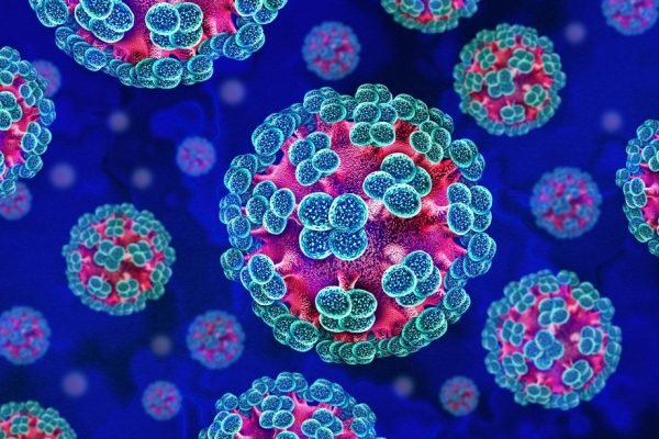 Hantavirose: O que é e como se proteger