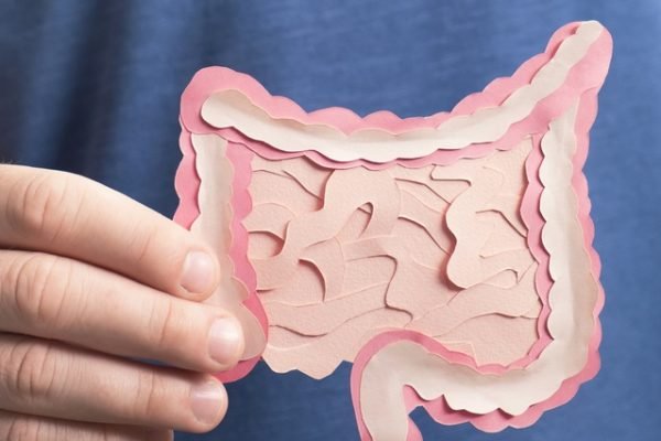 Microbiota Intestinal: Guia Essencial para a Sua Saúde